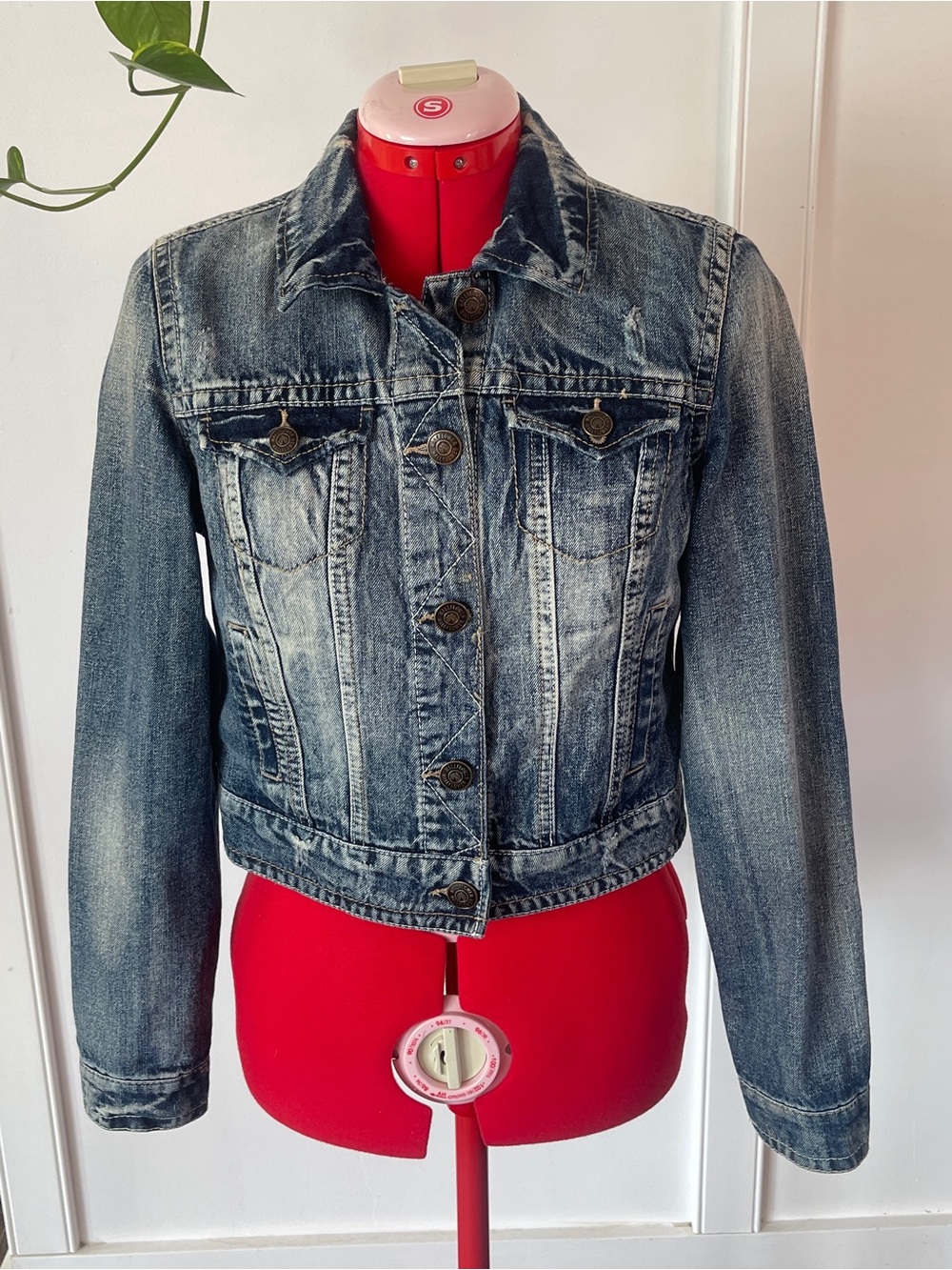 Wallflower Classic Faded Blue Denim Jacket